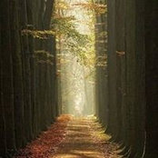 Shelley Pan's photo