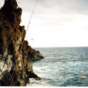 Charlie Bee's photo