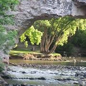 Marianne Wamhoff's photo