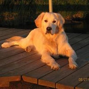 Jim Smith's photo