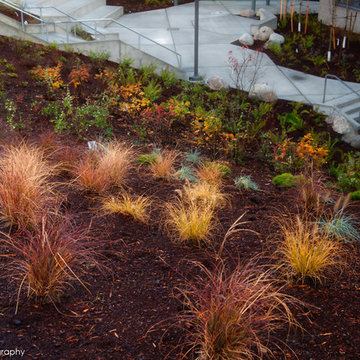 COMMERCIAL LANDSCAPE SERVICES