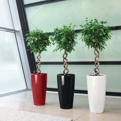 Modern Planter - Products