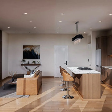 Designing Dreams: Crafting Stunning Living Rooms and Kitchens in Moscow, Russia