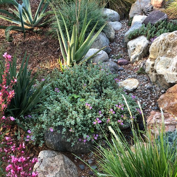 Colorful Watershed Front Landscape