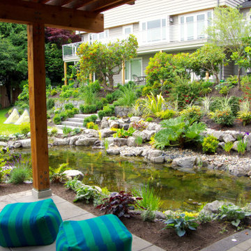 Ecosystem Ponds