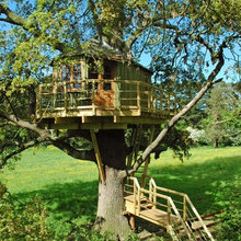 treehouse