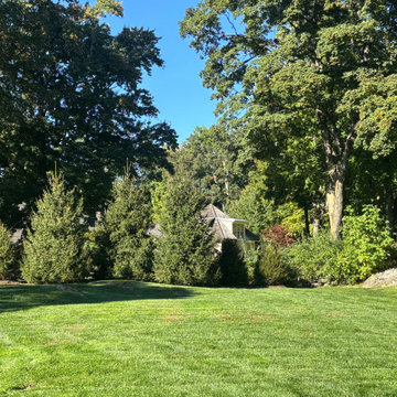 Privacy Screening Project - Greenwich, CT