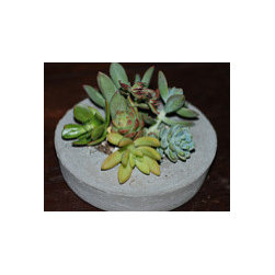 Handmade Concrete Planters - Outdoor Products