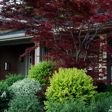 Front Yard Landscaping