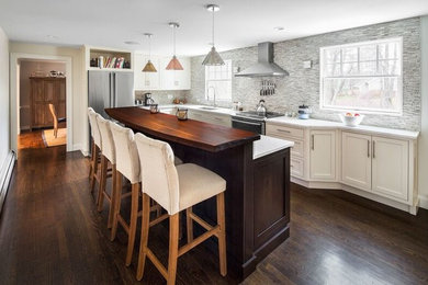 Kitchen - transitional kitchen idea in Boston