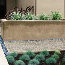 Landscape Ideas