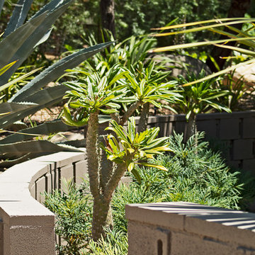 New 1-Year-Old Garden