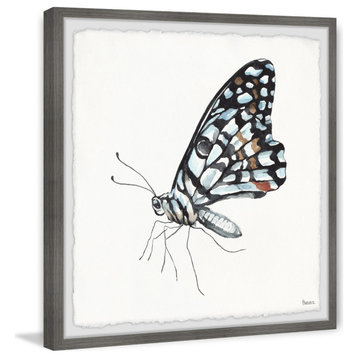 "Blue and Black Mariposa" Framed Painting Print, 18"x18", 18"x18"