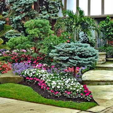 Planting and Maintenance