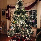Jeni Osko's photo