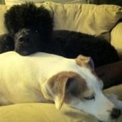 Karin Gordon's photo