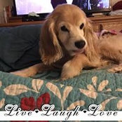 Michelle Murphy Bergfors's photo