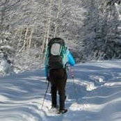 Emmanuelle Lefebvre's photo