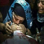 Mohamed Atef's photo