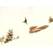 Adam Cole's photo