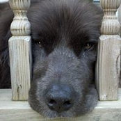 Kerry Gray-Barnes's photo
