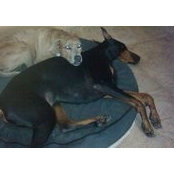 Jennifer Kiedaisch-Busciglio's photo