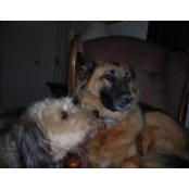 Terri Bordonaro's photo