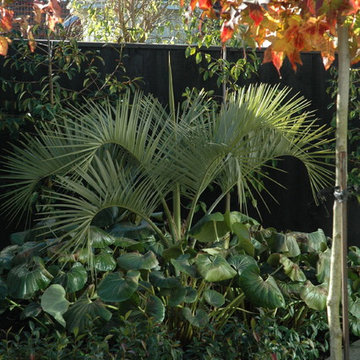 Fendalton Residence