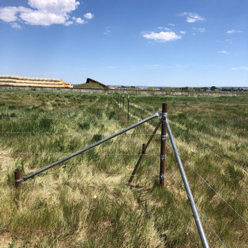 Laurel Horse Corral