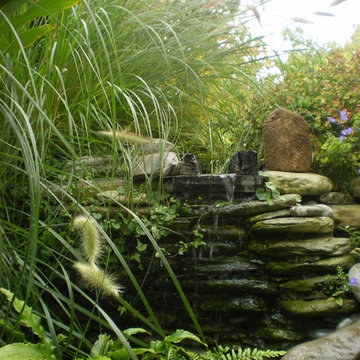 jardin parisien sur toit