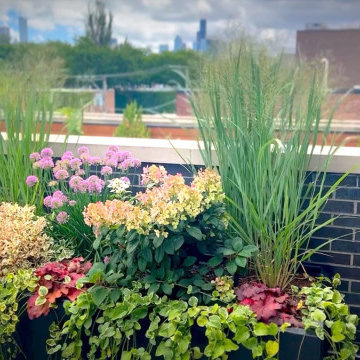 Levels of Greenery – A Multi-Dimensional Urban Retreat in Chicago