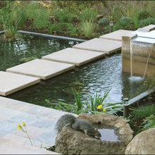 ponds