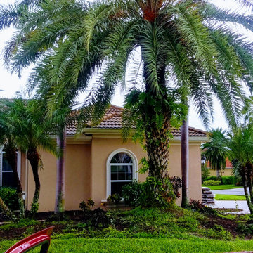 Tree Trimming & Landscaping