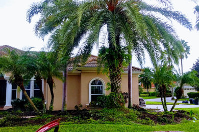 Design ideas for a large modern front yard landscaping in Tampa.
