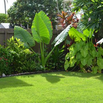 Tropical Paradise