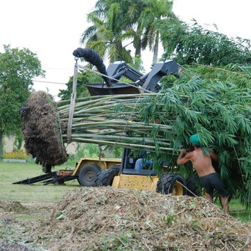 Miami Landscape Design Ideas