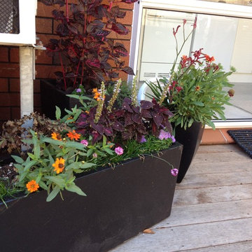 Pots, Containers, Planters and seasonal planting