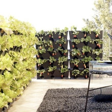 6 Ideas How to Turn your Small Patio into Piece of Heaven