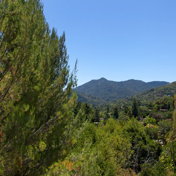 New Home in Marin County