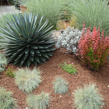 2016 Gamble Garden Tour - Bowdoin