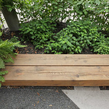 Landscape Ideas