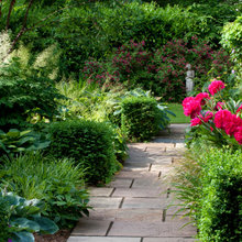 Back Garden