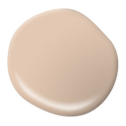 Mesquite Powder S230-2 - Paint