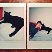 Nick Homonko's photo