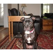 Kathy Karn's photo