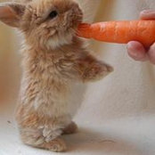 Jason Edwards's photo