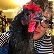 Nicole Stansill's photo