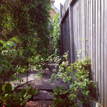 Ny trädgård med gröna former