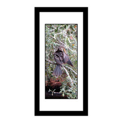 Anhinga - 1675 - framed - Photographs