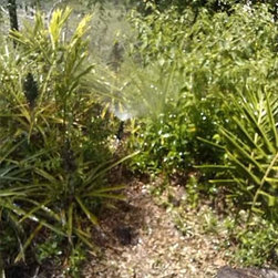 Comstock Landscaping & Yard Maintenance - Products